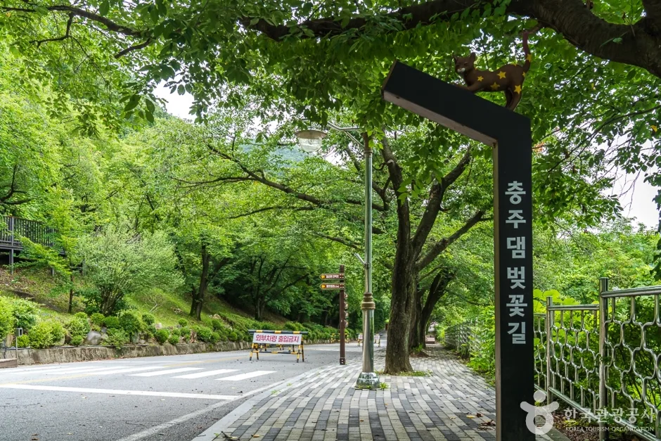 충북_충주_충주댐 (3)