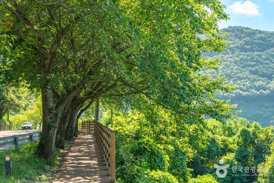청도_운문댐