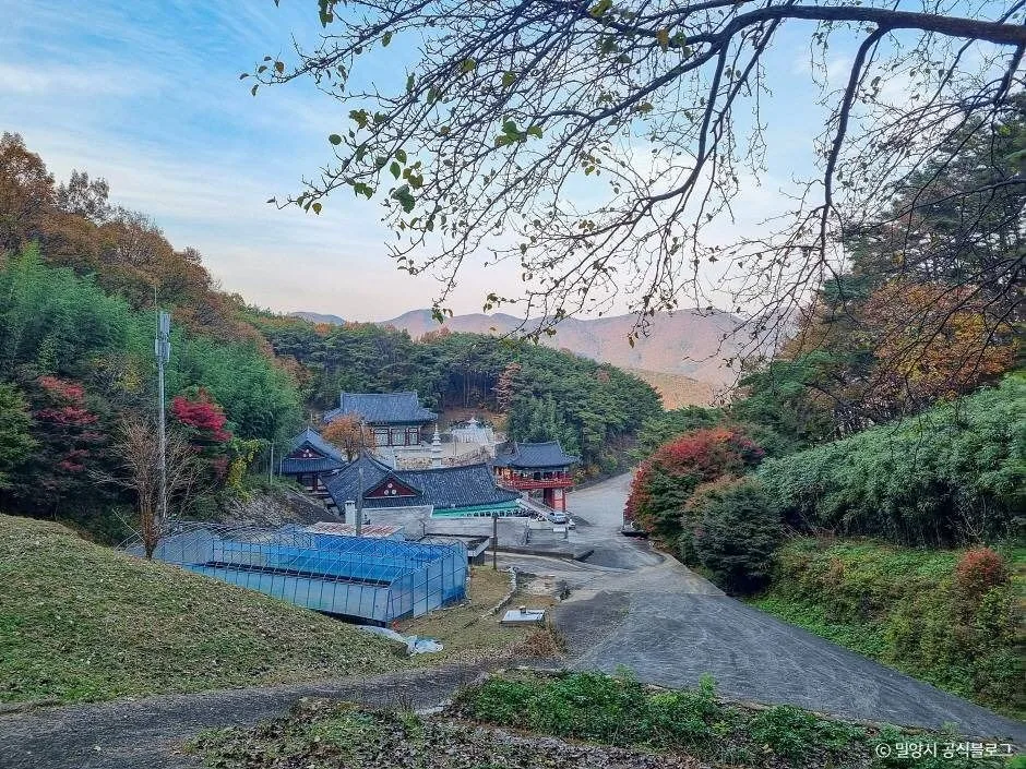 밀양_대법사 (6)