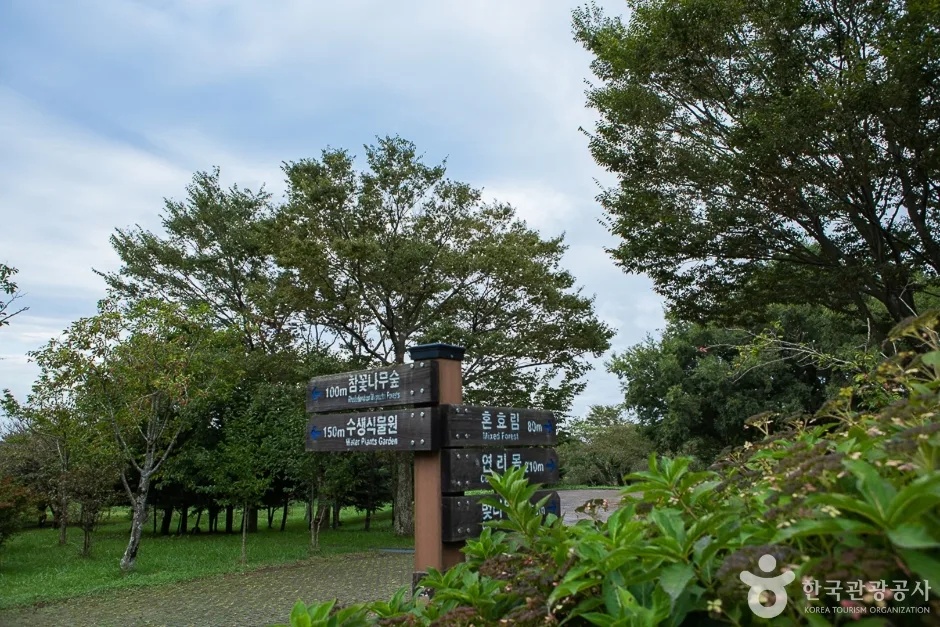 한라생태숲 (9)