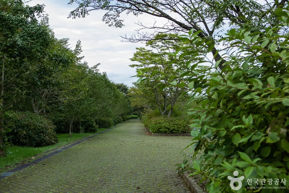 한라생태숲 (11)