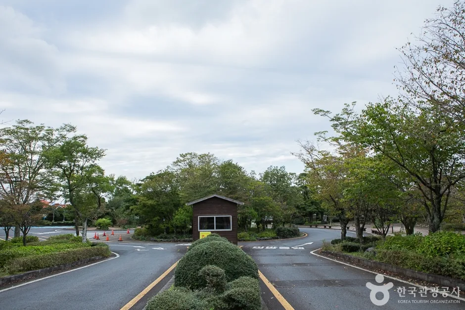 신나는 게임부터 나눔의 유산, 청정 숲 체험까지 아이와 함께 떠나는 제주 배움 여행_제주_제주_한라생태숲_2.jpg
