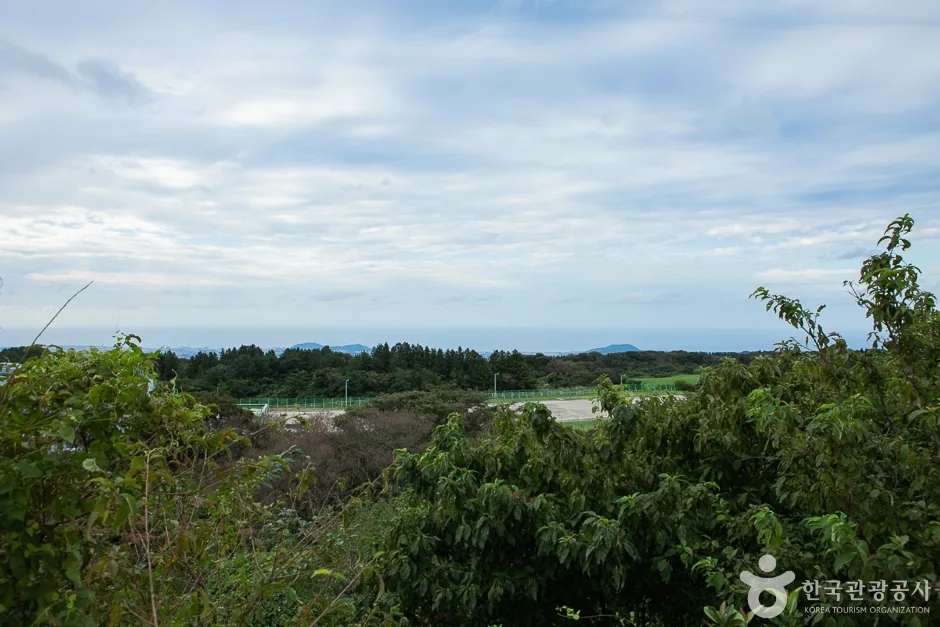한라생태숲 (17)