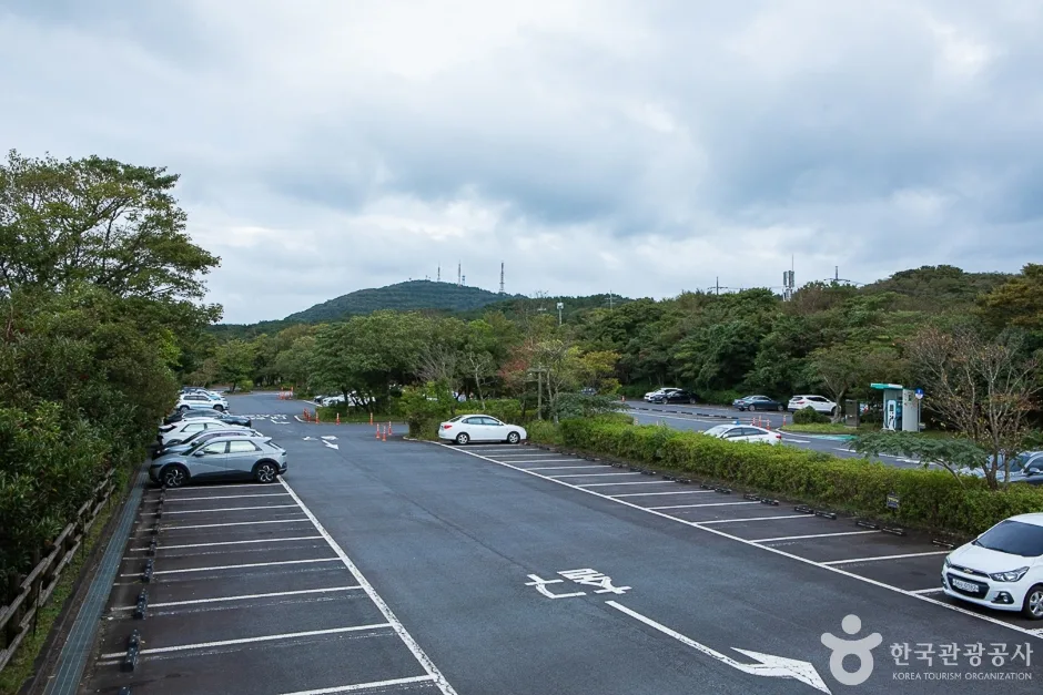 한라생태숲 (16)