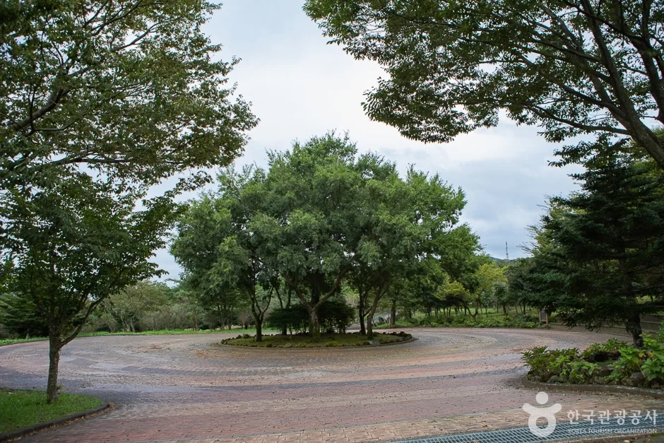 한라생태숲 (10)