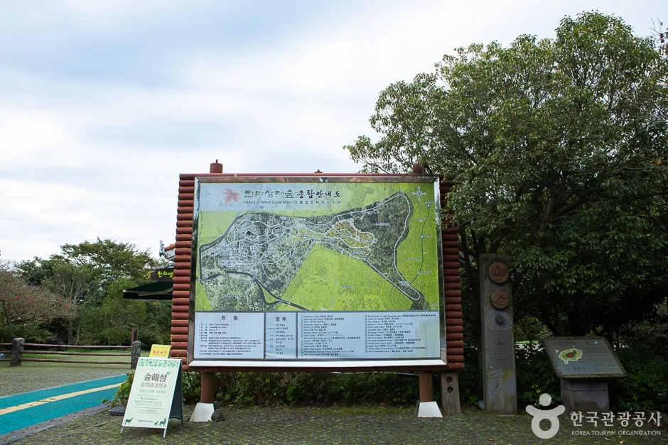 신나는 게임부터 나눔의 유산, 청정 숲 체험까지 아이와 함께 떠나는 제주 배움 여행_제주_제주_한라생태숲_4.jpg