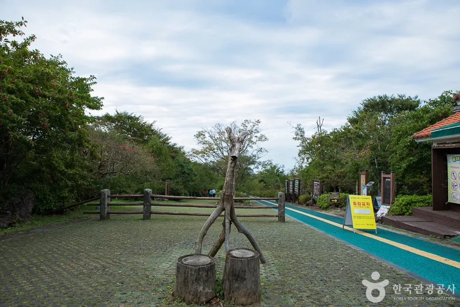 한라생태숲 (14)