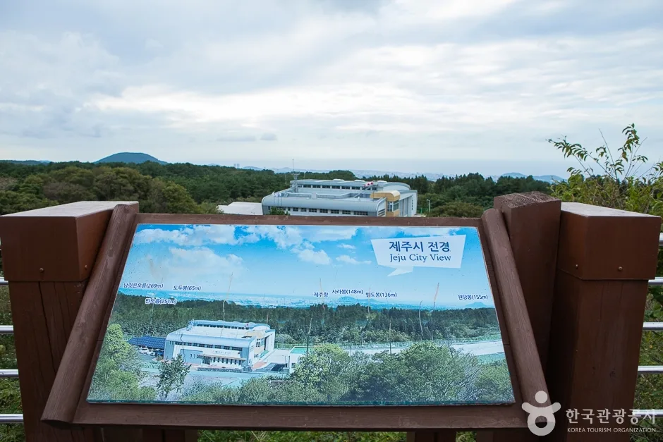 한라생태숲 (19)
