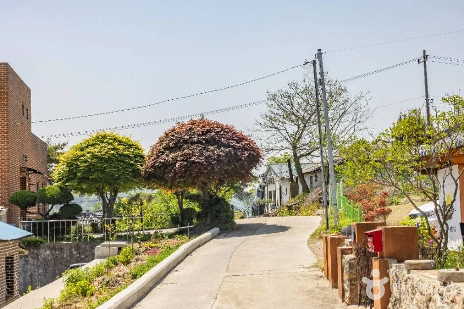 당진_면천읍성 골목 (5)