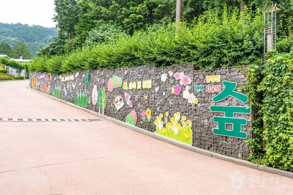 고흥_팔영산 편백 치유의숲 (7)