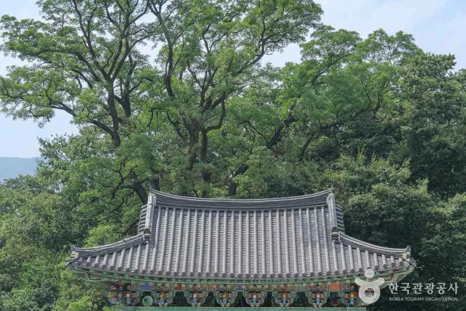밀양 표충사