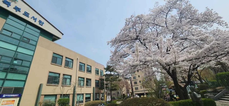 부천시립북부도서관 (8)