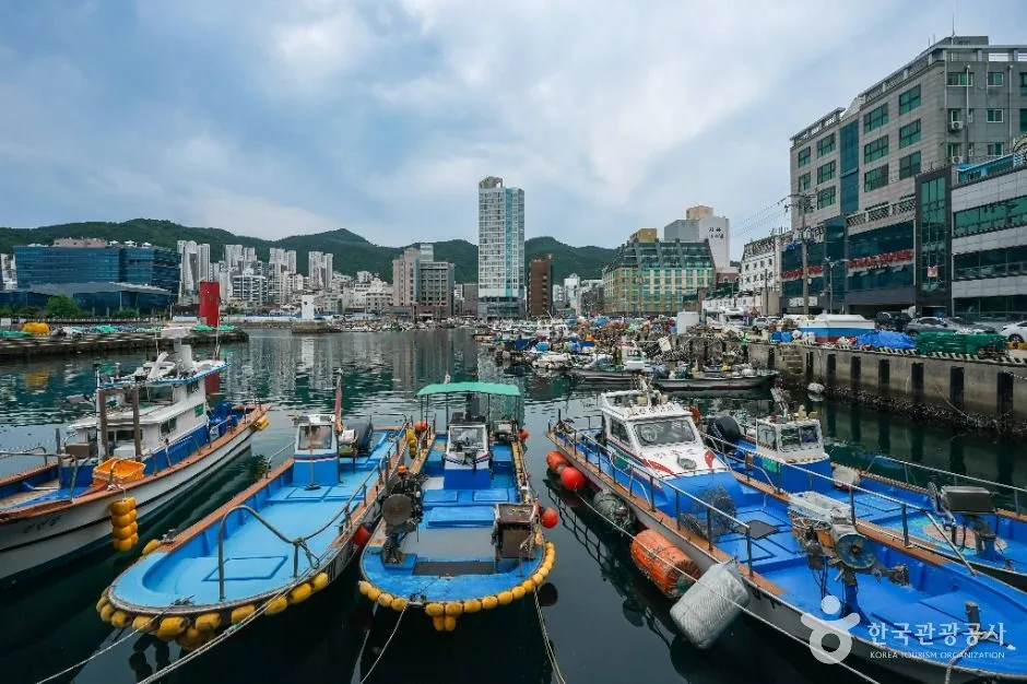 거제_옥포항 (3)