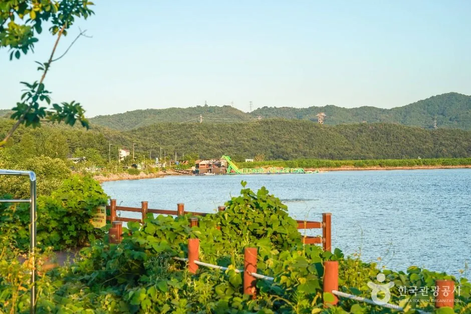칠곡_지천지 (3)