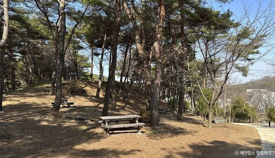 홍성_에덴힐스 힐링파크 (8)