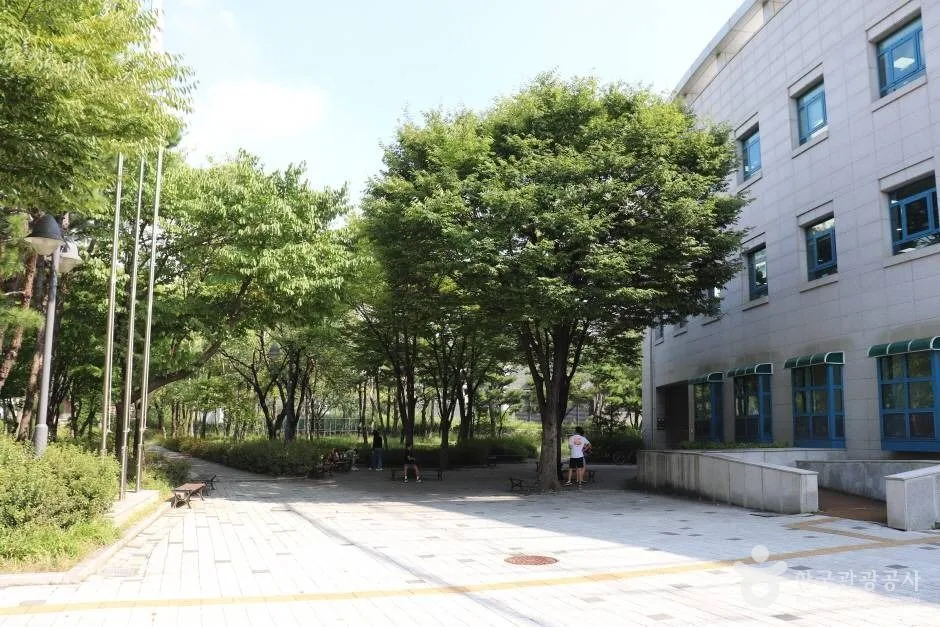 수원 영통도서관 (11)_e