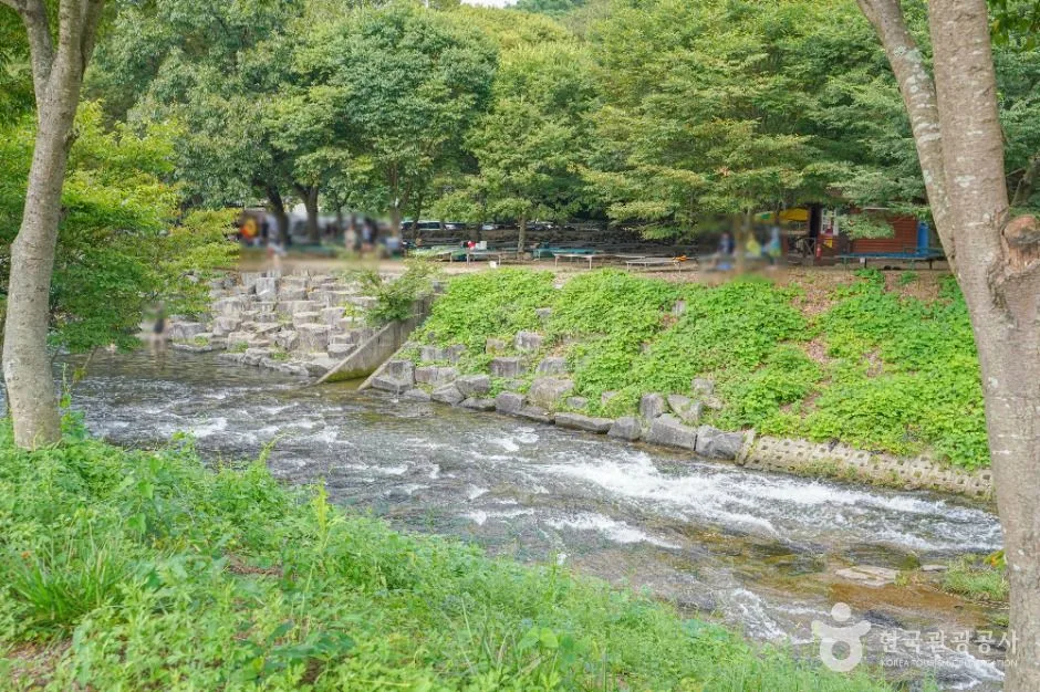 화순_동가리계곡(숲속유원지) (4)