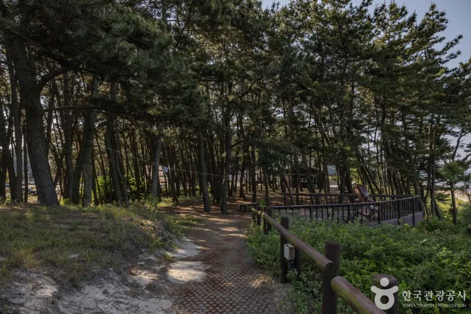 삼봉해수욕장 (3)