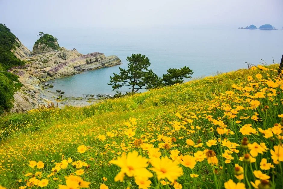 거제_신선대(거제) (2)
