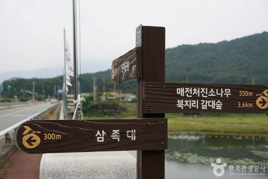 청도 삼족대 (5)