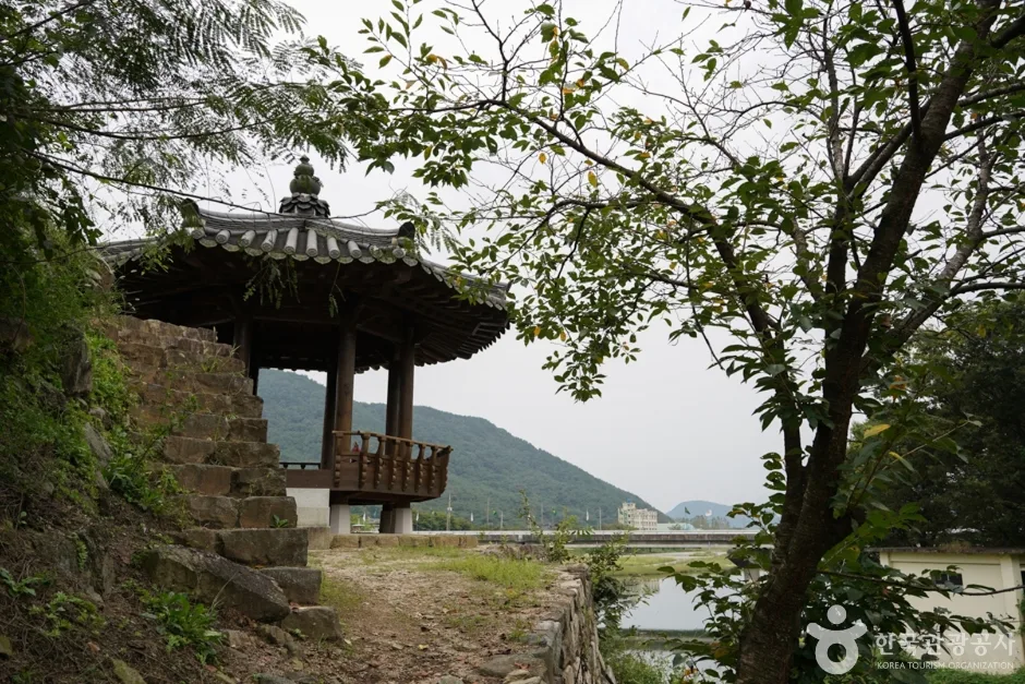 청도 삼족대 (7)