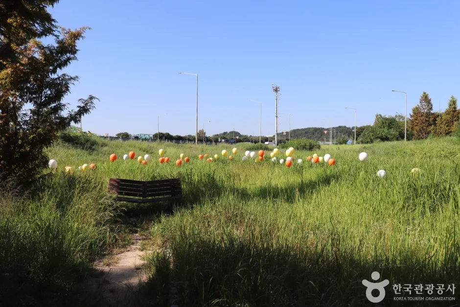 회덕메타세쿼이아길 (11)