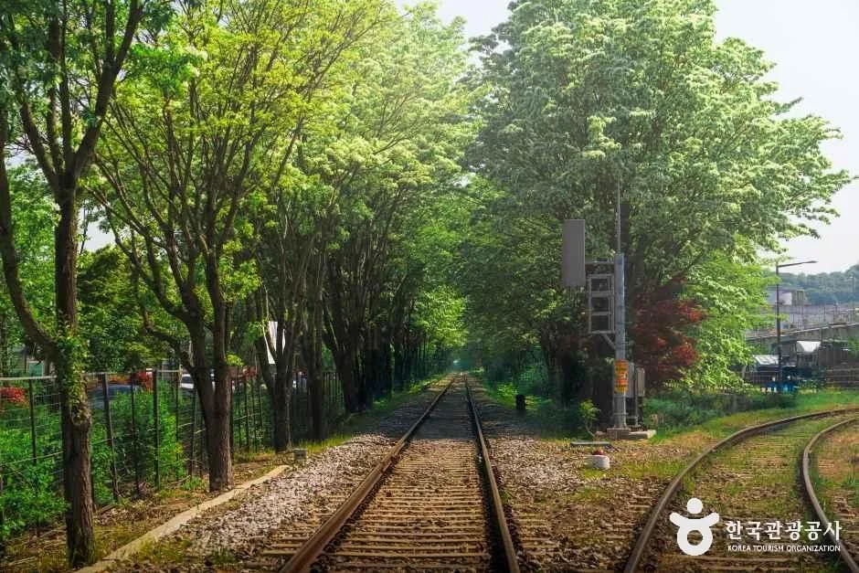 전북_전주_팔복동이팝나무철길_외부_3.jpg