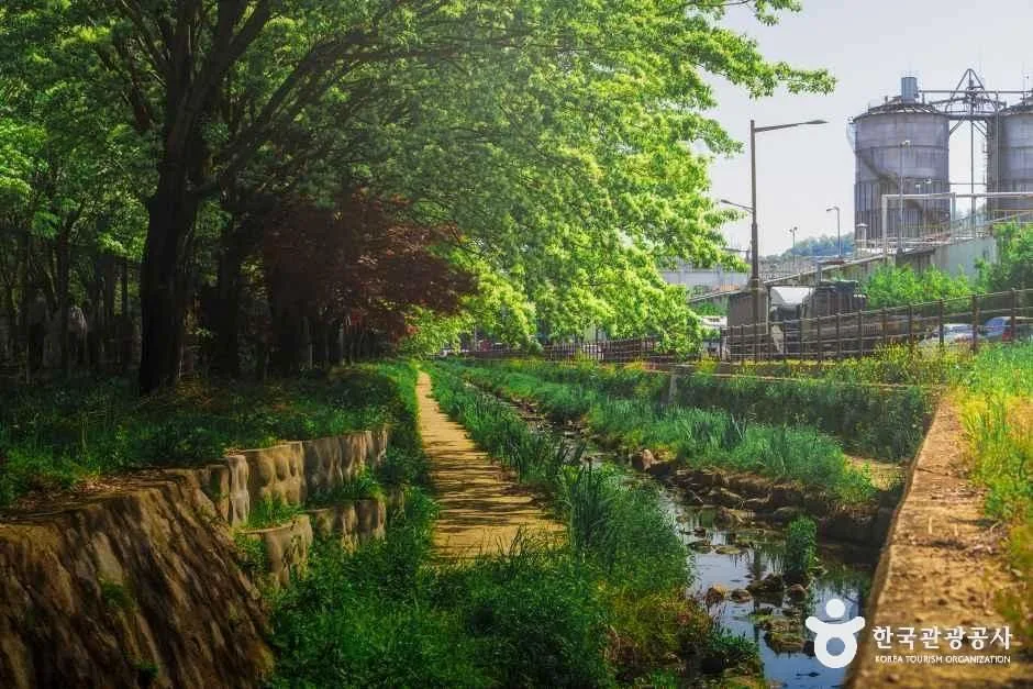 전북_전주_팔복동이팝나무철길_외부_4.jpg