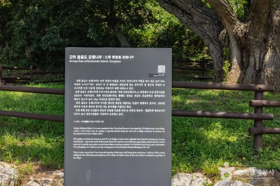강화_볼음도(저어새 생태마을) (3)