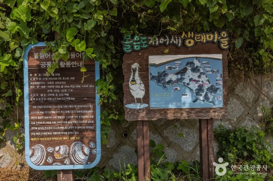 강화_볼음도(저어새 생태마을) (6)