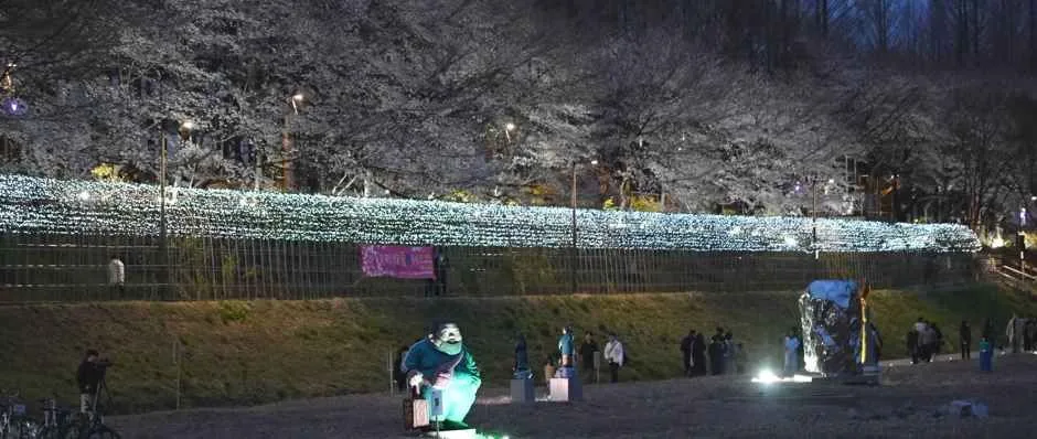 2026 양재천 벚꽃 등(燈) 축제 (7).jpg