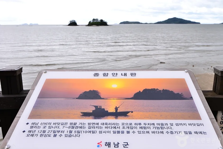 해남_송지 대죽리 조개잡이 체험장 (1)