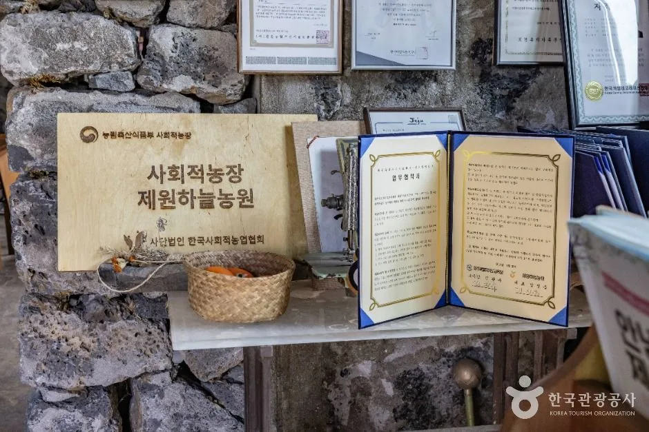 제주_제원하늘농원 (5)