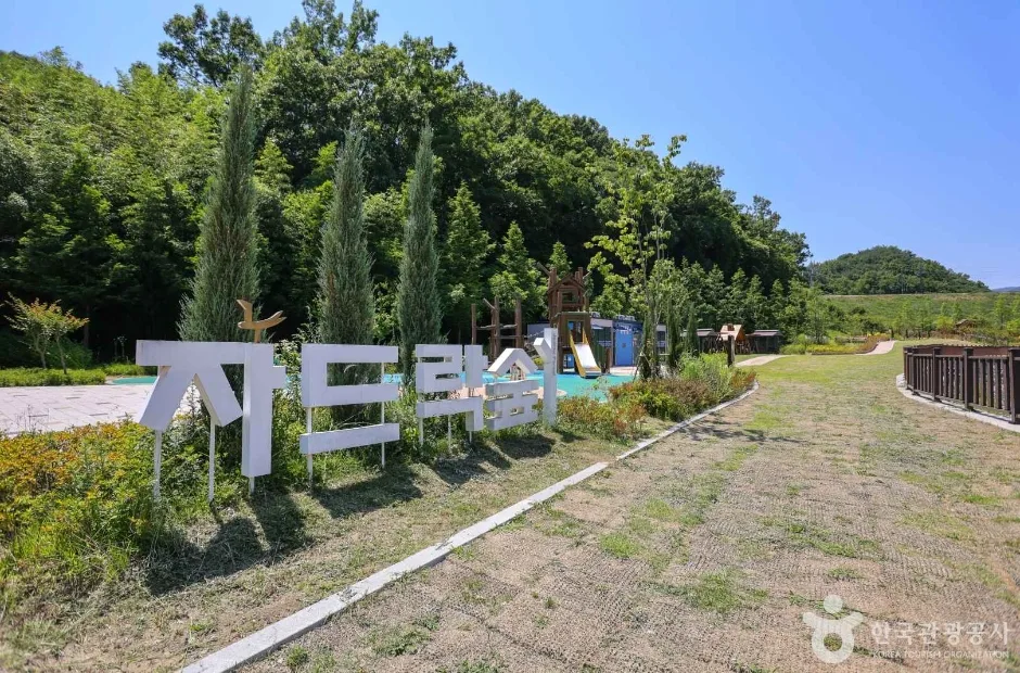 자드락숲 (7)