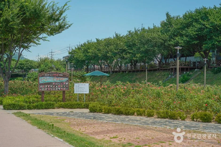 밀양_장미공원 (2)