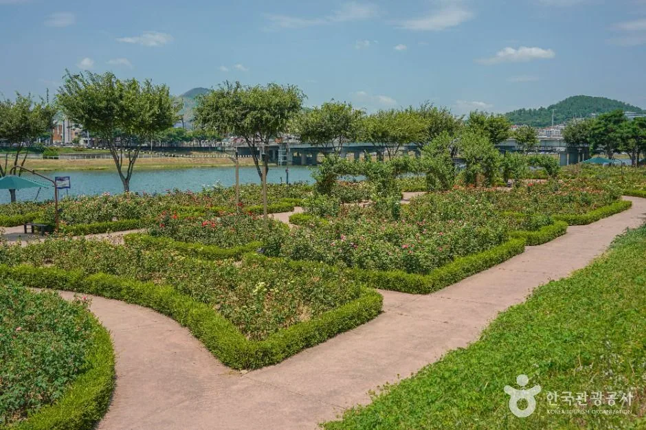 밀양_장미공원 (4)