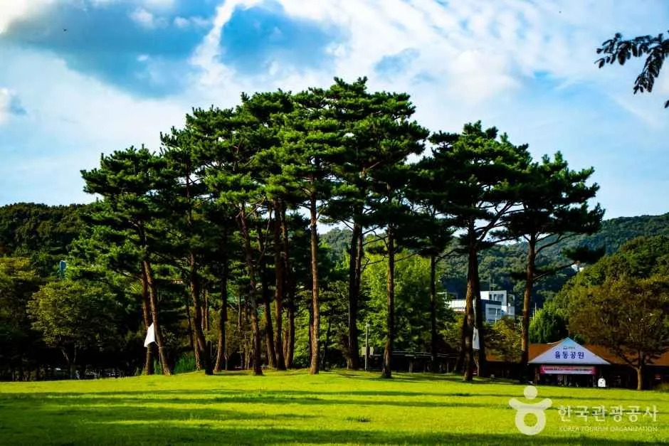 성남_율동공원 (6).JPG