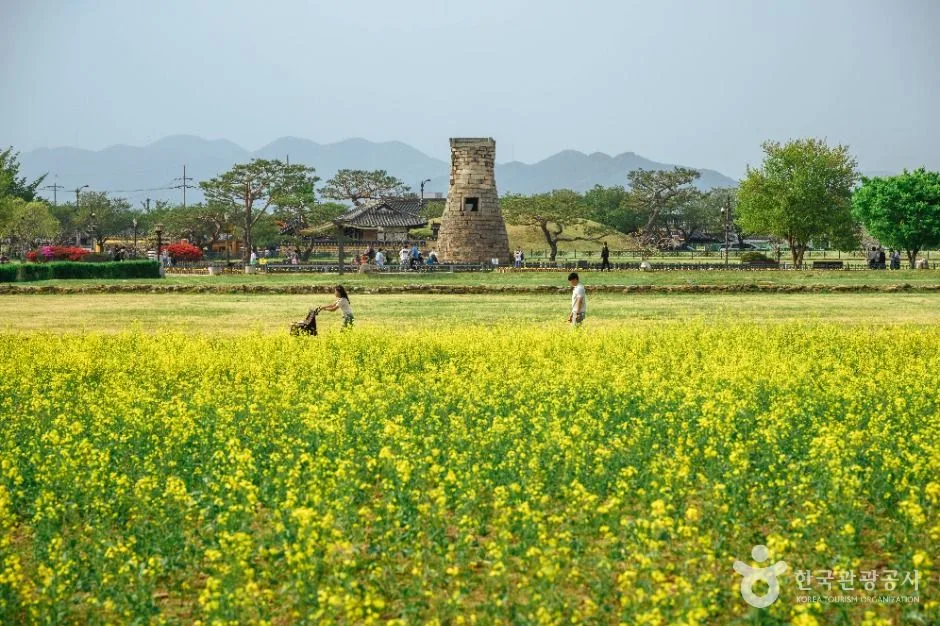 첨성대_4