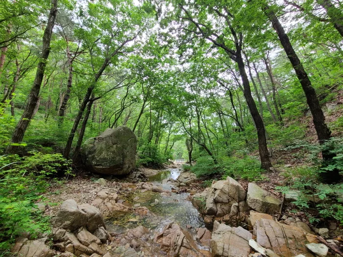 부산_부산 치유의 숲 (6).jpg