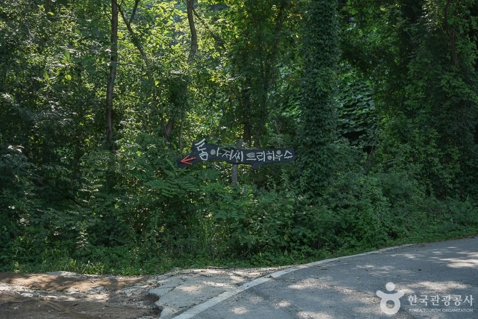 인천_강화_톰아저씨 트리하우스_내부_1.jpg
