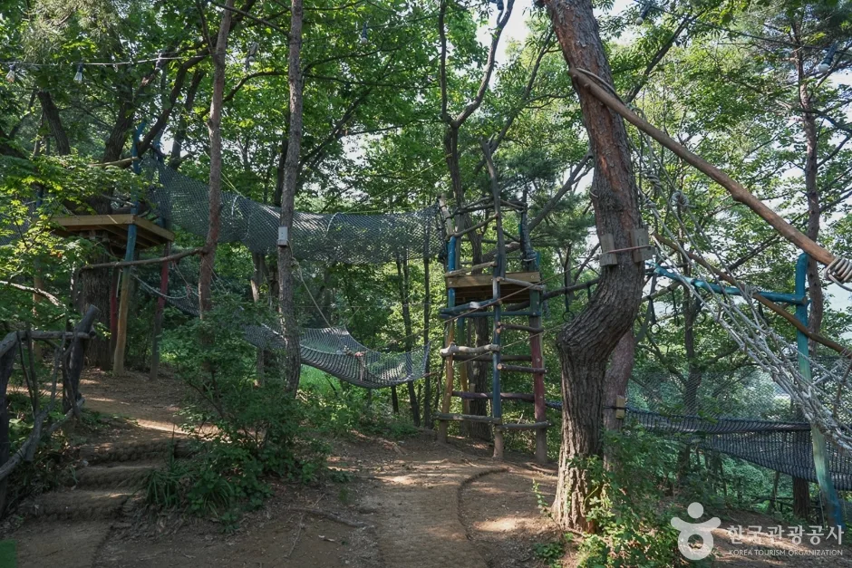 인천_강화_톰아저씨 트리하우스_체험.jpg