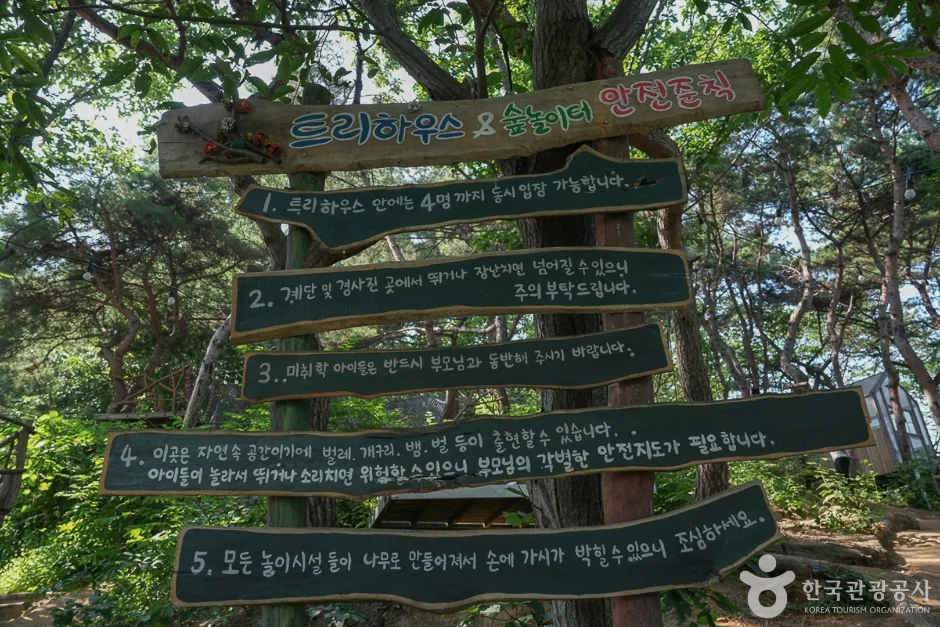 톰아저씨 트리하우스(7)