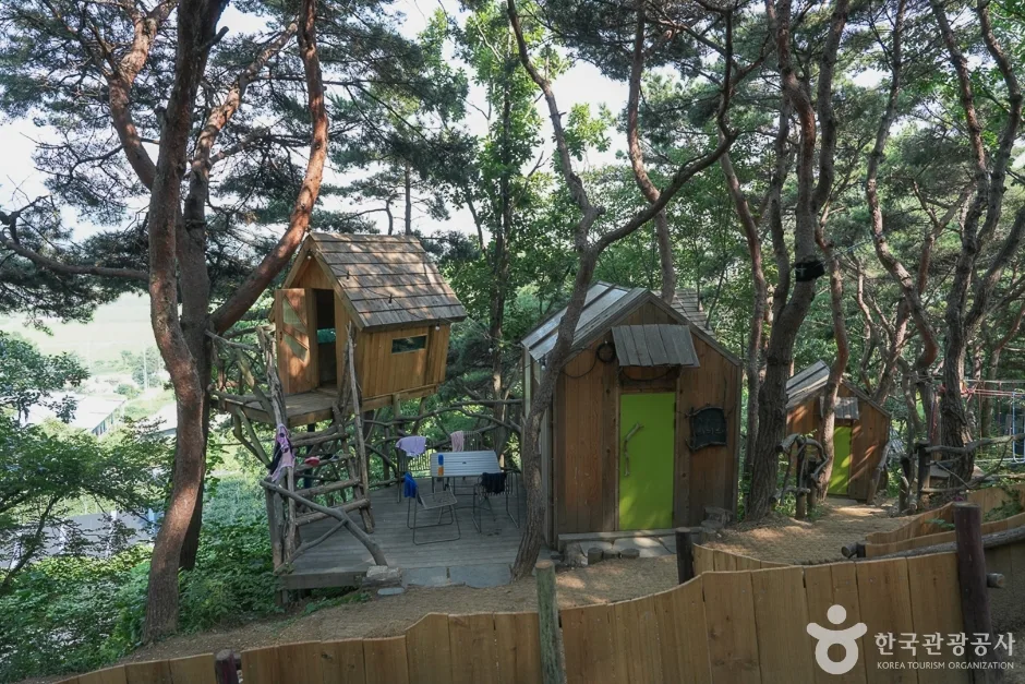 인천_강화_톰아저씨 트리하우스_외부_7.jpg