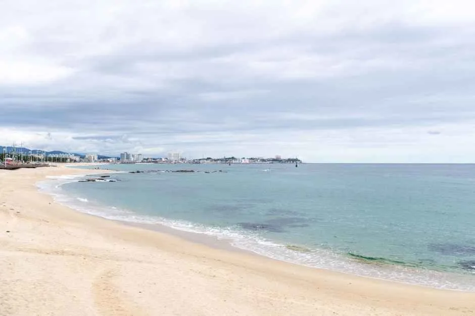 강릉시_영진해변 (5).jpg