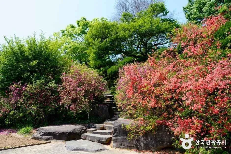 충남_홍성_그림같은 수목원(그림이 있는 정원)_외부_1.jpg