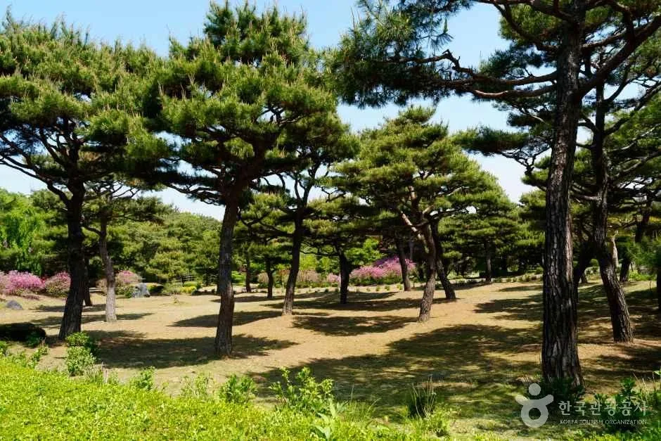 충남_홍성_ 그림같은 수목원(그림이 있는 정원)_외부_5.jpg