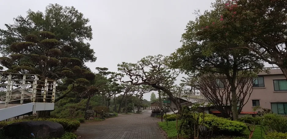 그림같은 수목원 (2)
