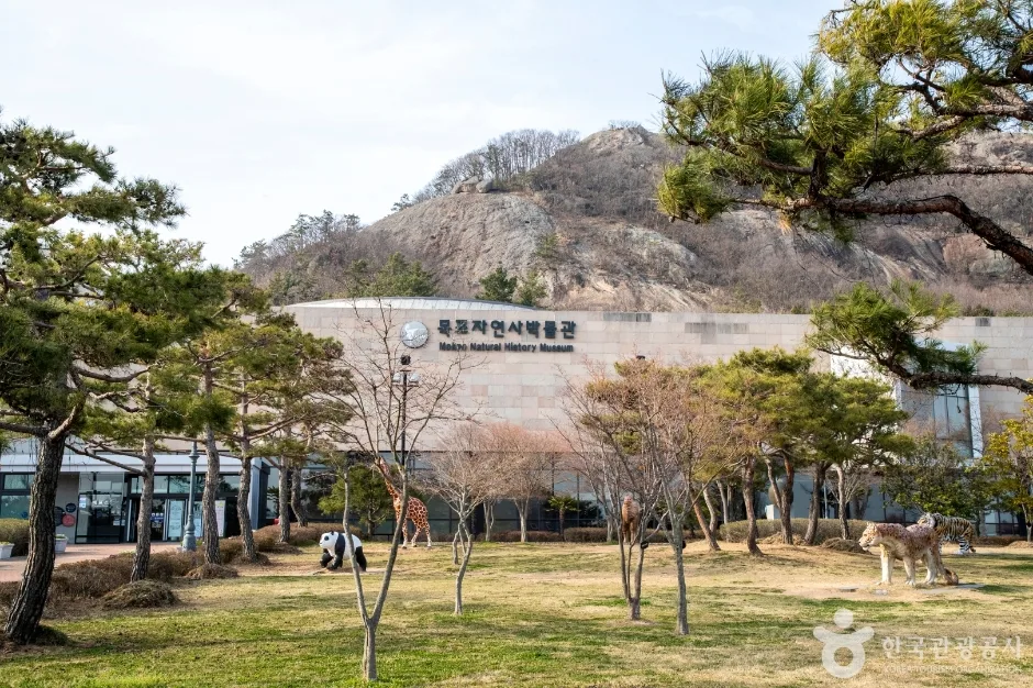 전남광주_목포_목포자연사박물관_내부_1.jpg