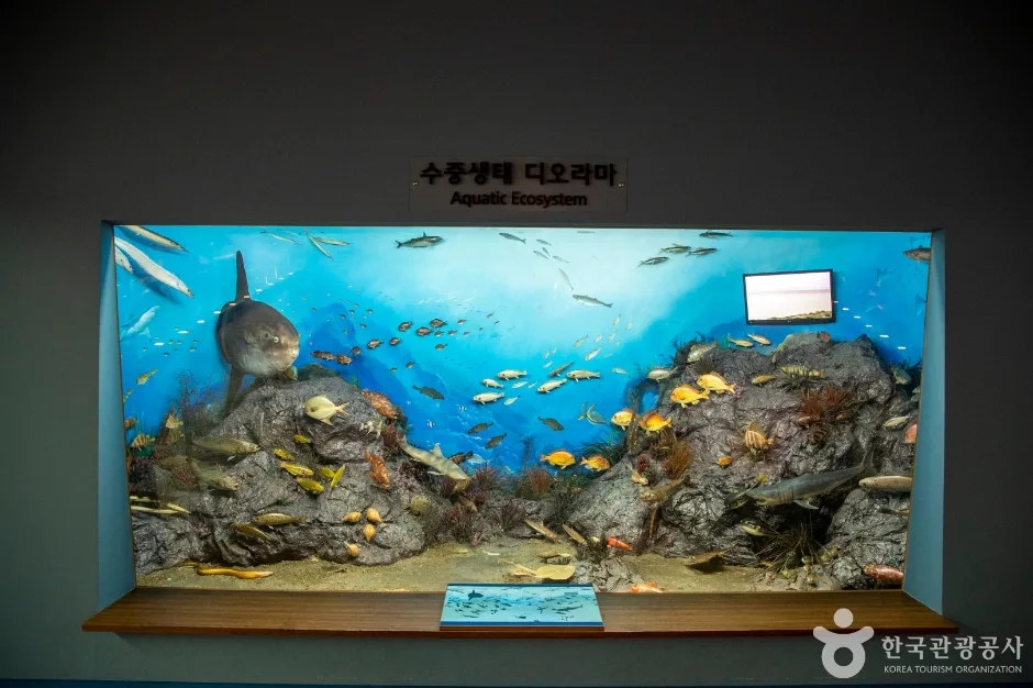 전남광주_목포_목포자연사박물관_내부_2.jpg
