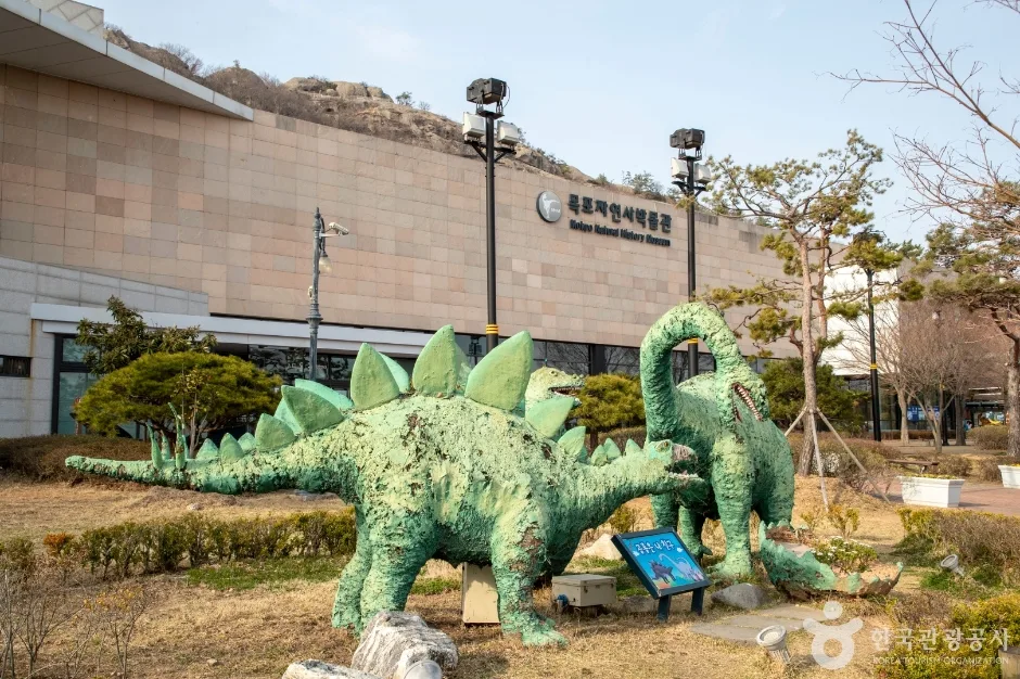 전남광주_목포_목포자연사박물관_내부_7.jpg